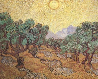 Vincent Van Gogh Olive Trees with Yellow Sky and Sun (nn04)